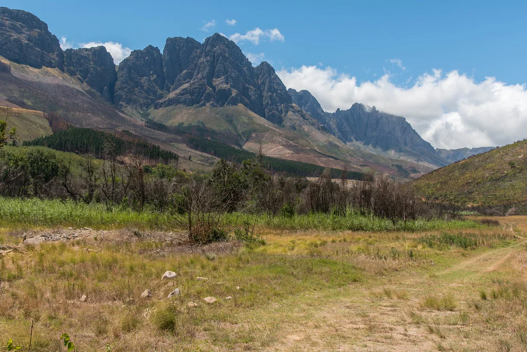 Jonkershoek Nature Reserve, Afrique du Sud