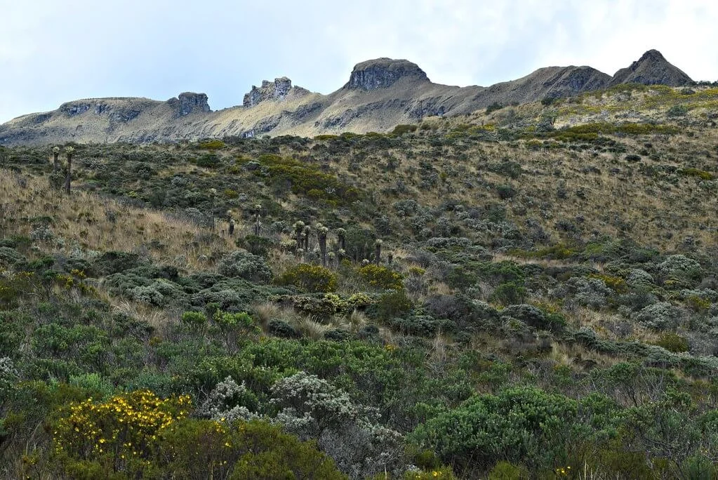 Parc national naturel de Los Nevados, Colombie, Colombie, Colombie, Colombie