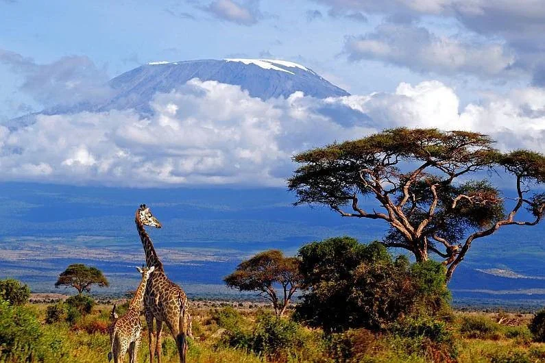 Parc national d'Arusha, Tanzanie
