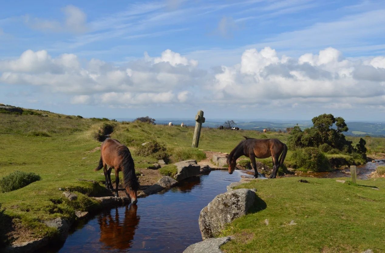 Parc national du Dartmoor, Angleterre