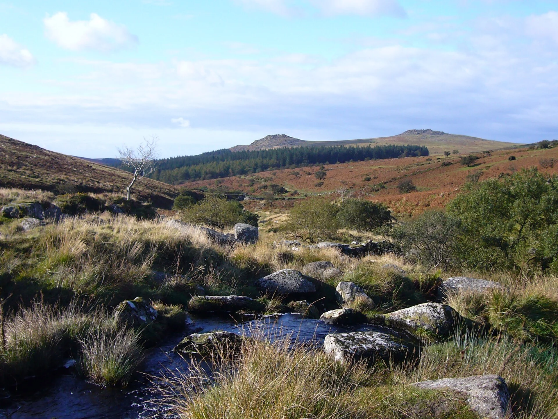 Parc national du Dartmoor, Angleterre