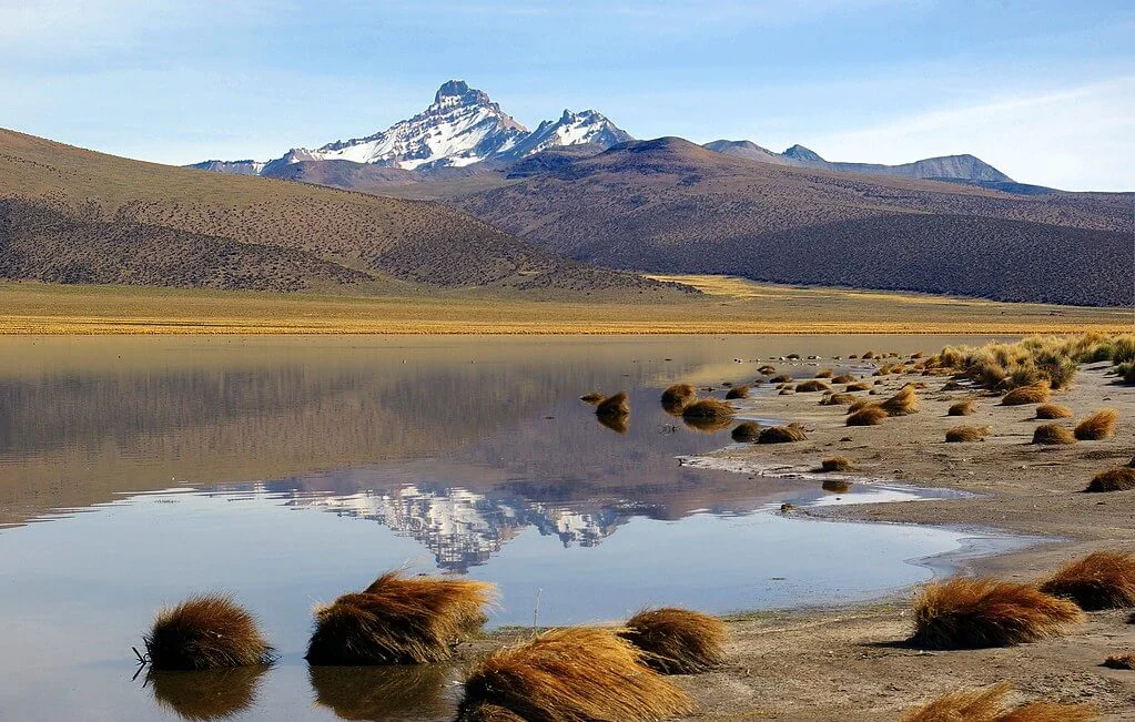 Parc national Sajama, Bolivie