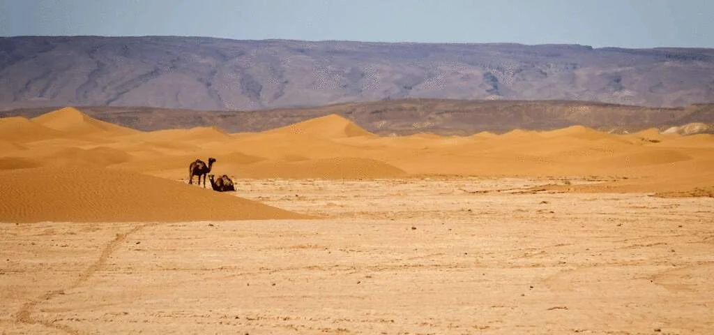 Parc national d'Iriqui, Maroc