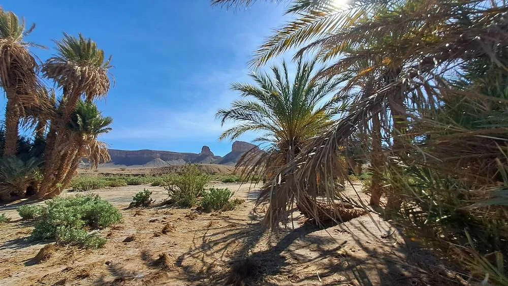 Parc national d'Iriqui, Maroc