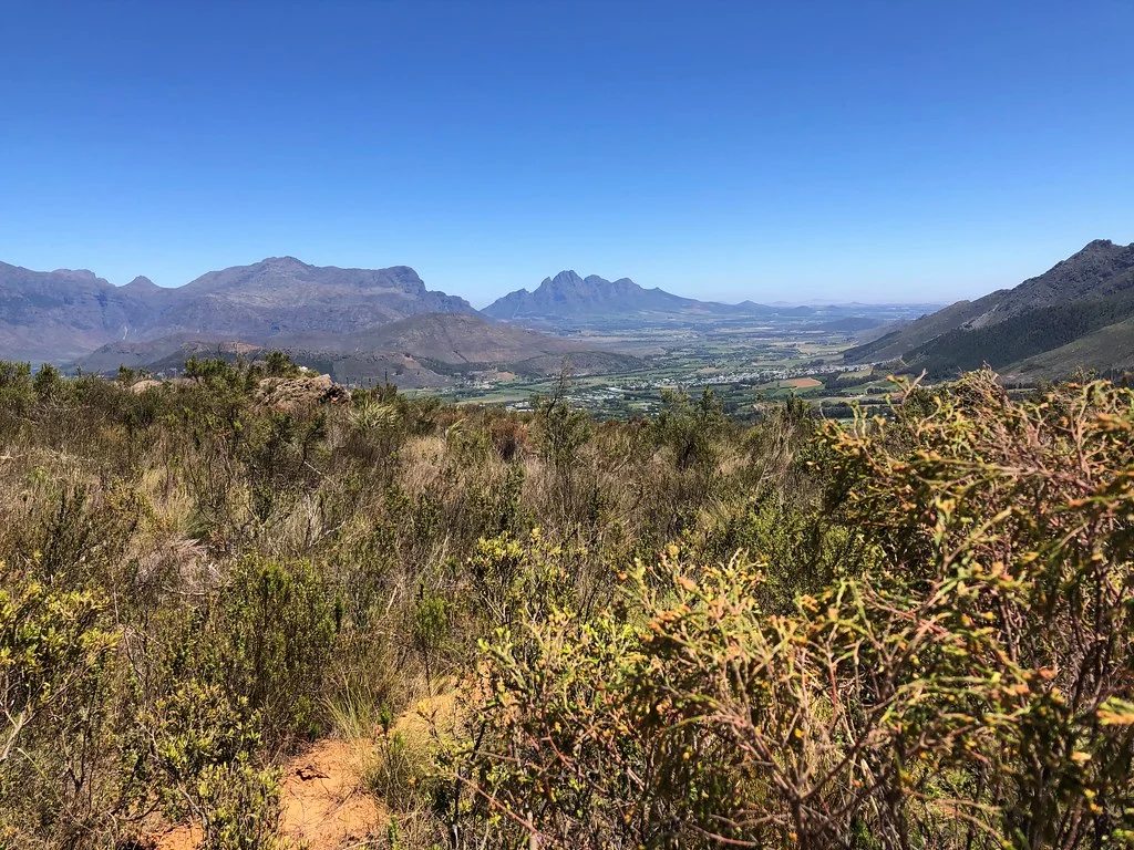 Mont Rochelle Nature Reserve, Afrique du Sud