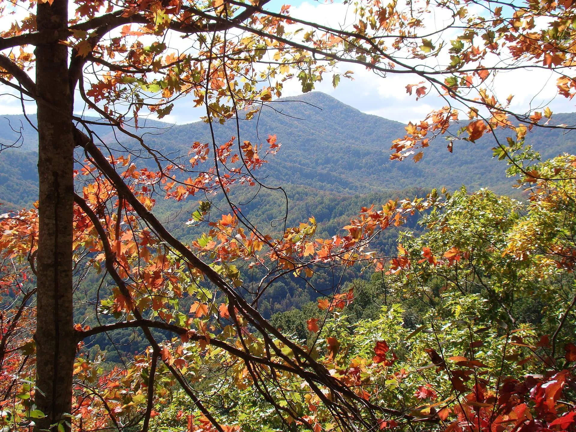 Parc national des Great Smoky Mountains, États-Unis, États-Unis
