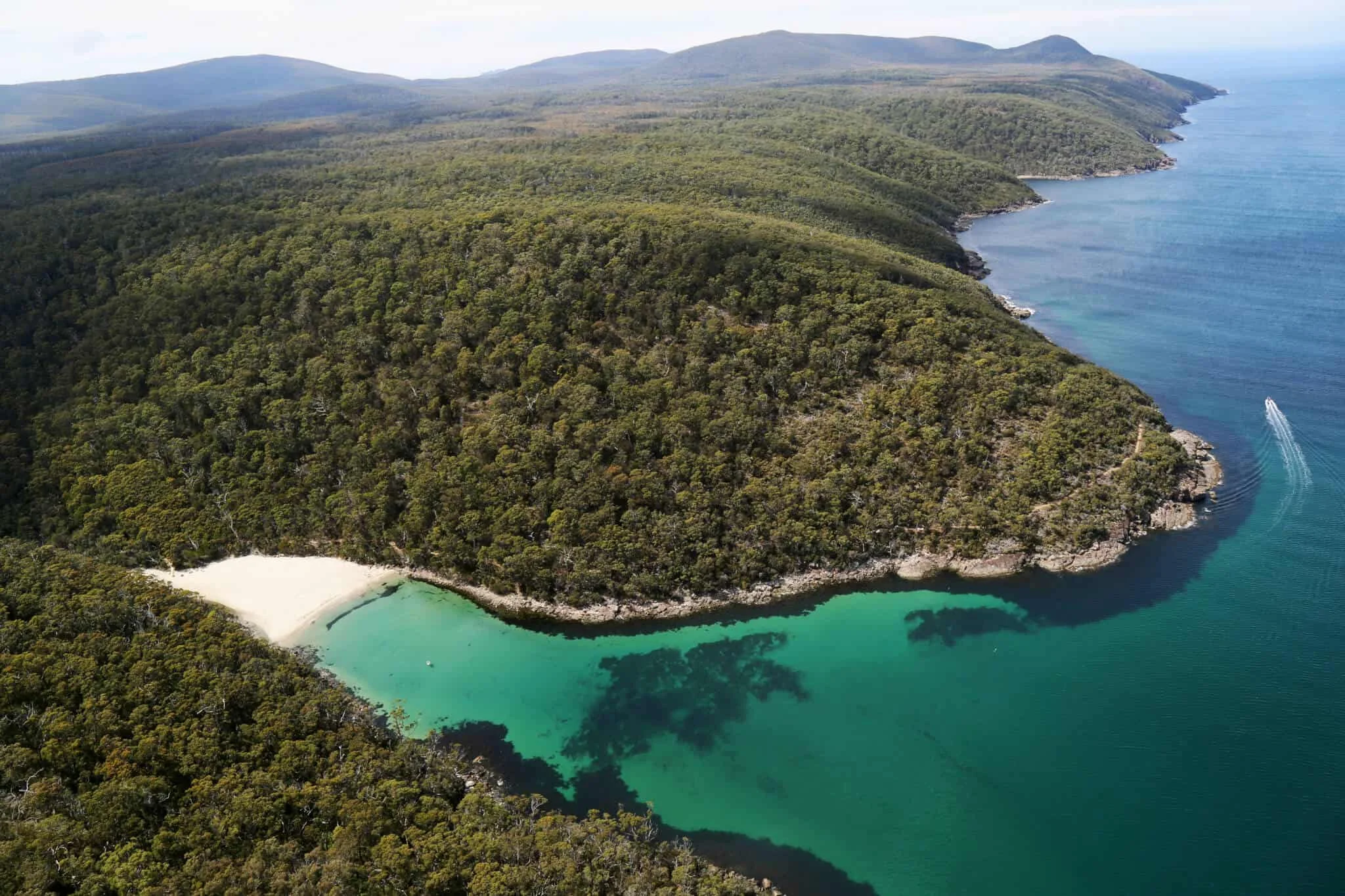 Three Capes Track, Australie, Tasmanie
