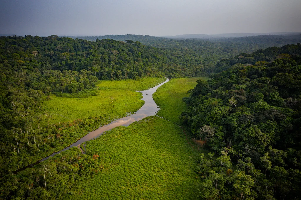Parc national d'Ivindo, Gabon