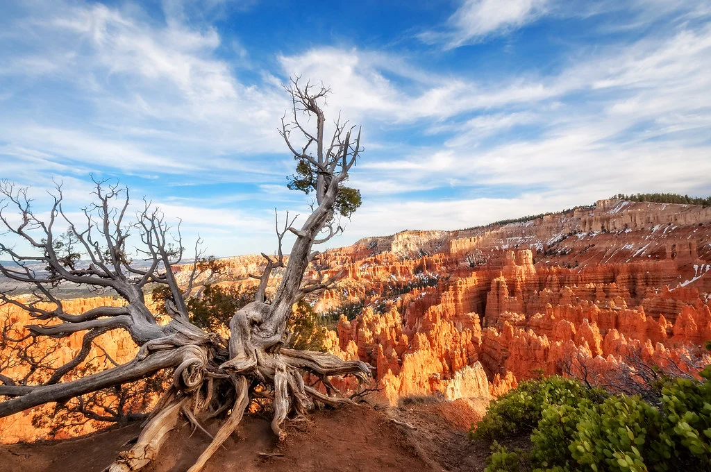 Sunrise Point (Bryce Canyon), États-Unis