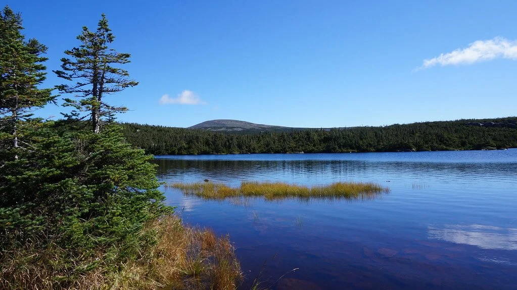 Parc national de la Gaspésie, Canada