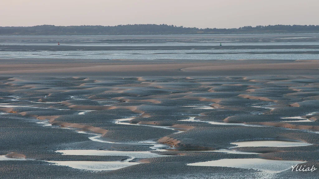 Parc naturel régional de la Baie de Somme, France