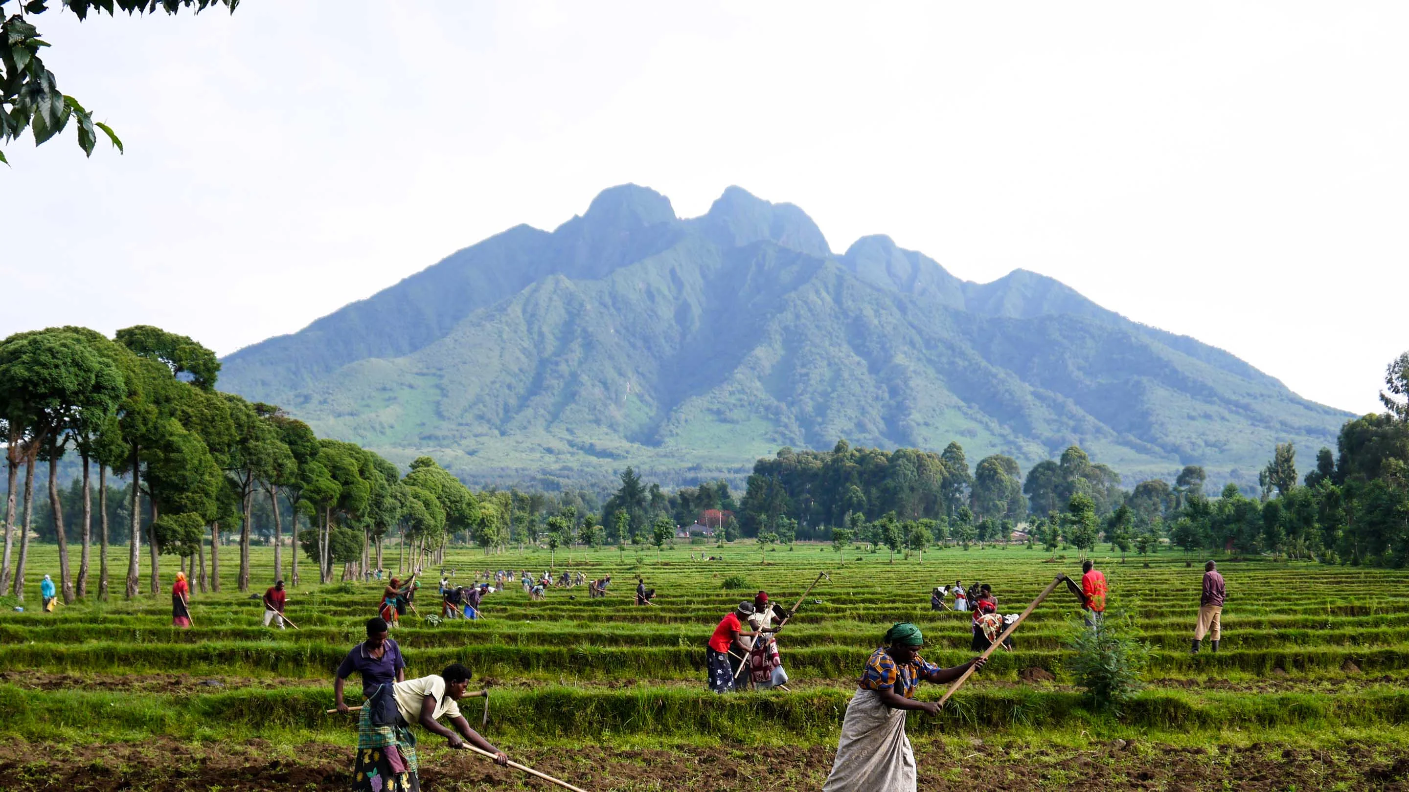 Sabyinyo, Rwanda, République démocratique du Congo, Ouganda