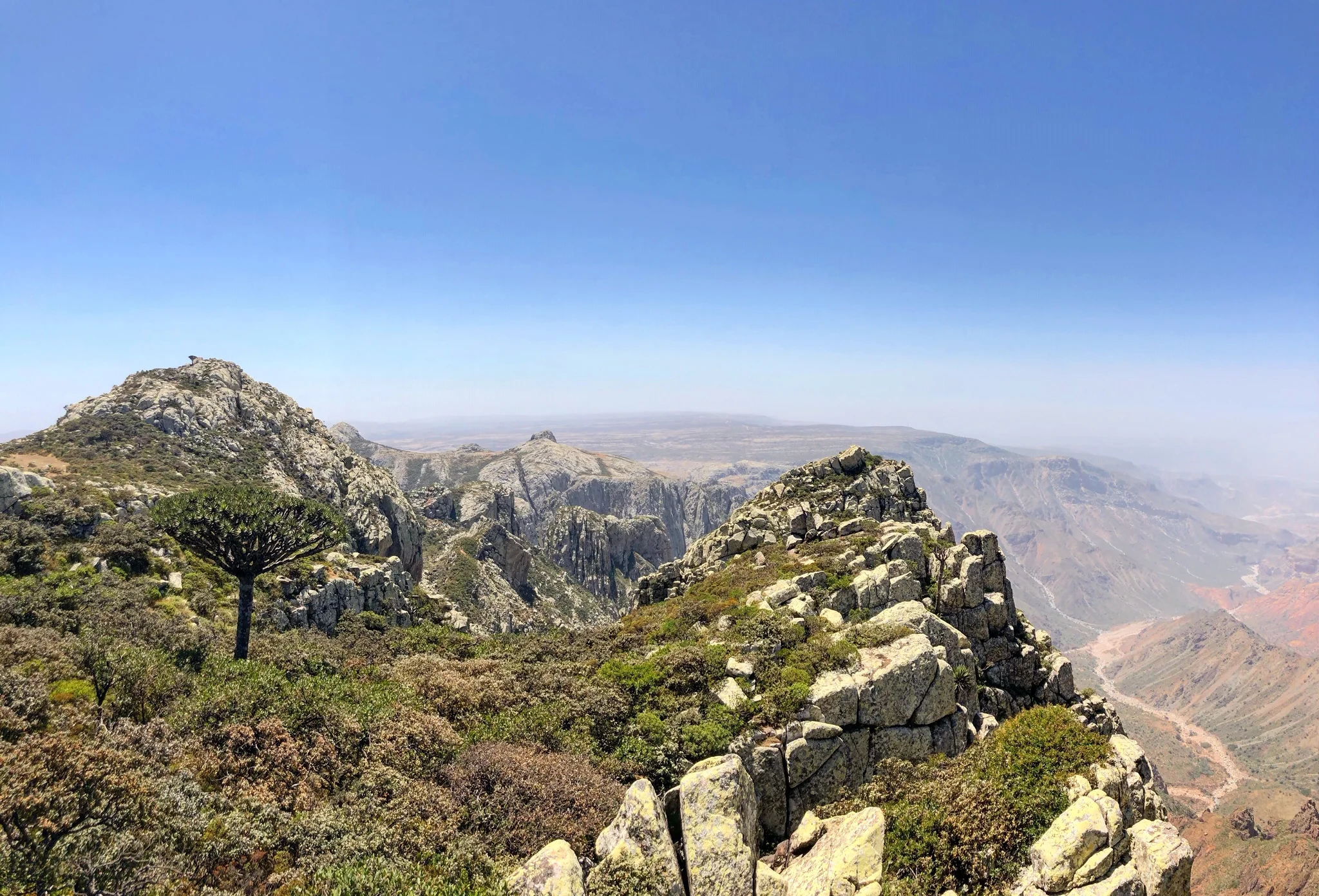 Monts Hajhir, Yémen, Socotra