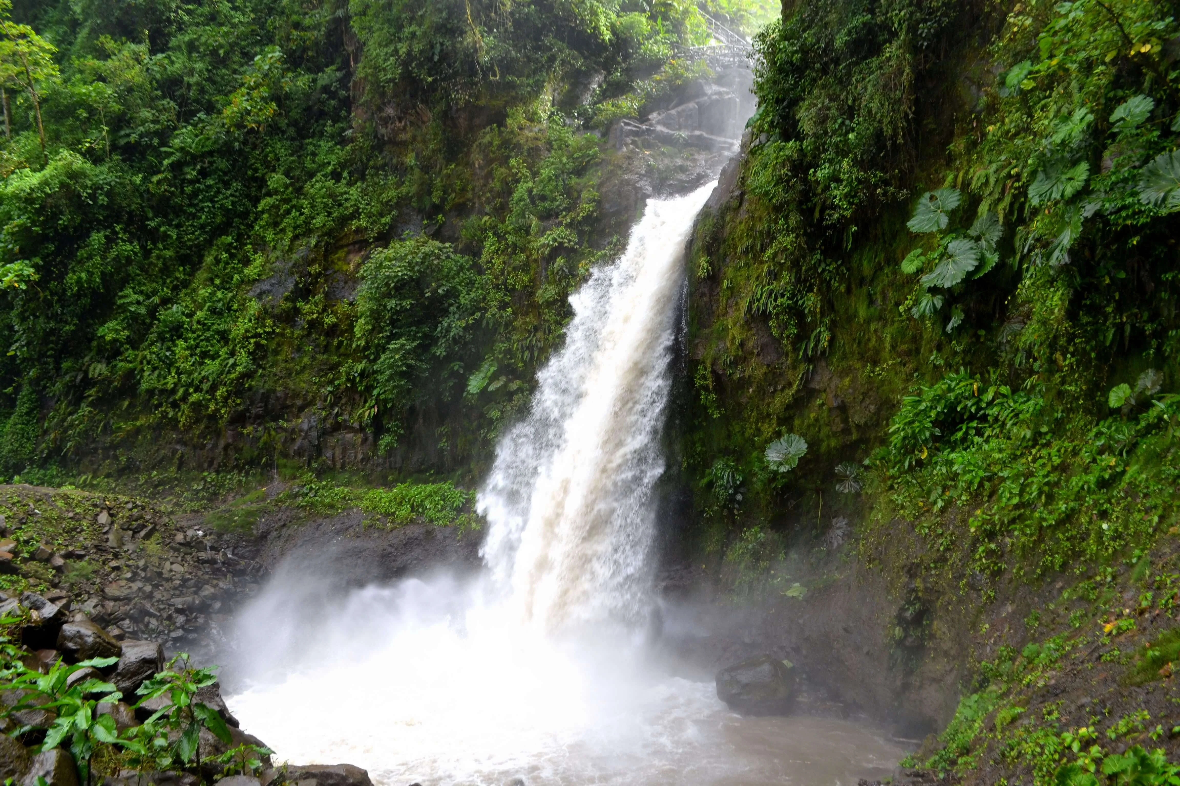 Cascade de La Paz, Costa Rica