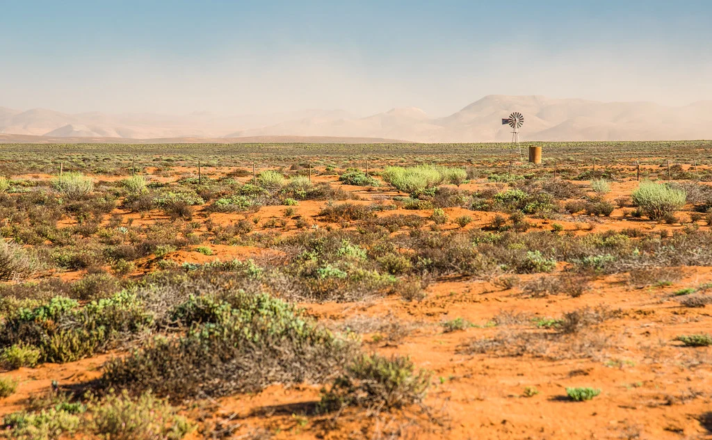 Namaqualand, Afrique du Sud, Namibie