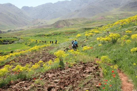 Plateau du Yagour, Maroc