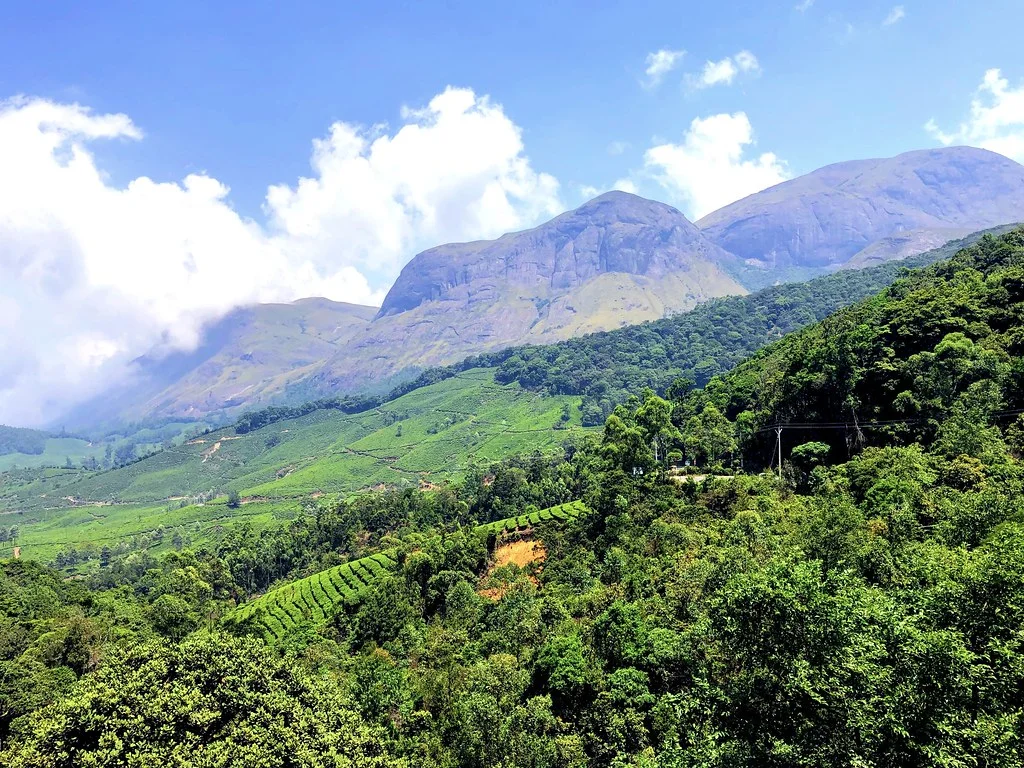 Ghats occidentaux, Inde, Inde, Inde, Inde, Inde, Inde