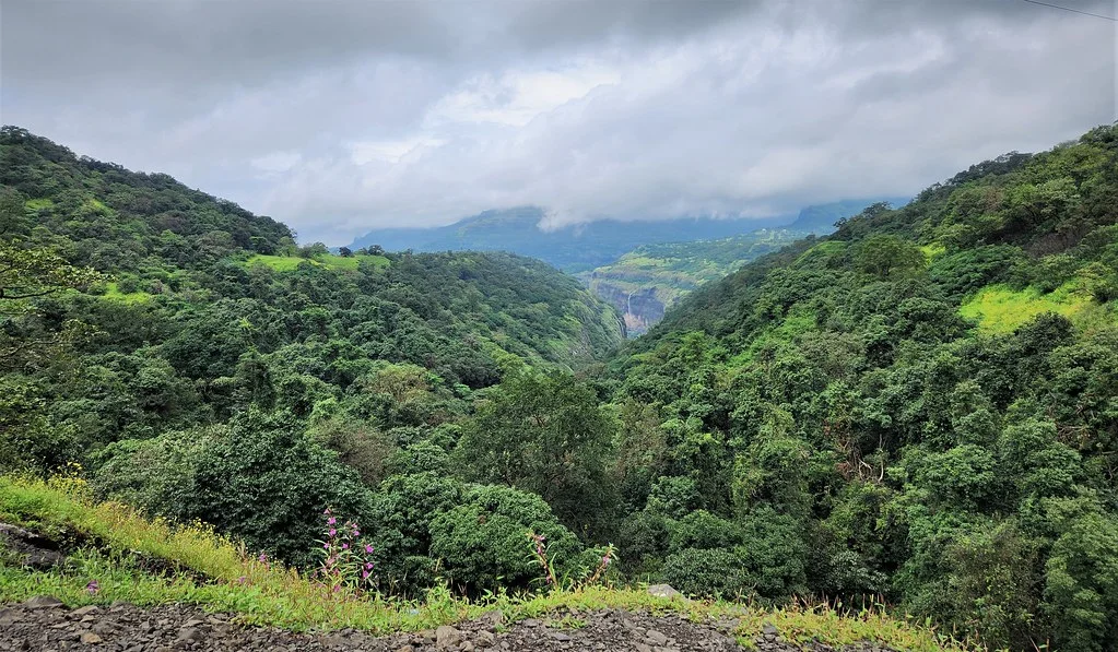 Ghats occidentaux, Inde, Inde, Inde, Inde, Inde, Inde