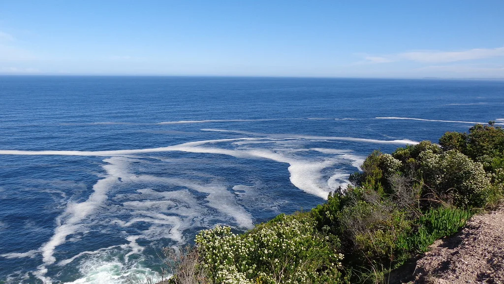 Parc national de Tsitsikamma, Afrique du Sud