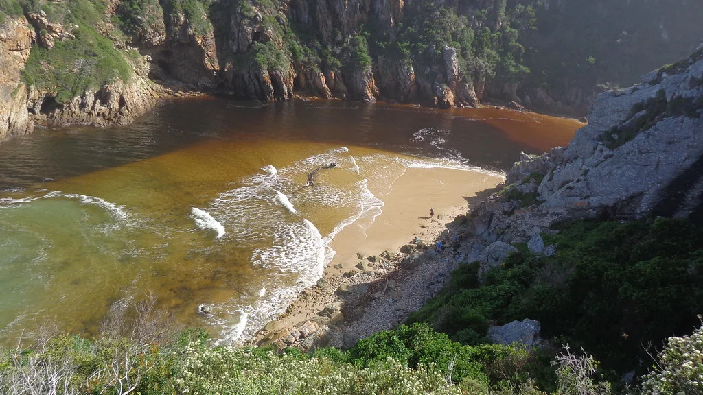 Parc national de Tsitsikamma, Afrique du Sud