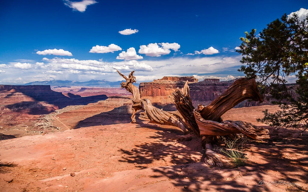 Shafer Trail, États-Unis