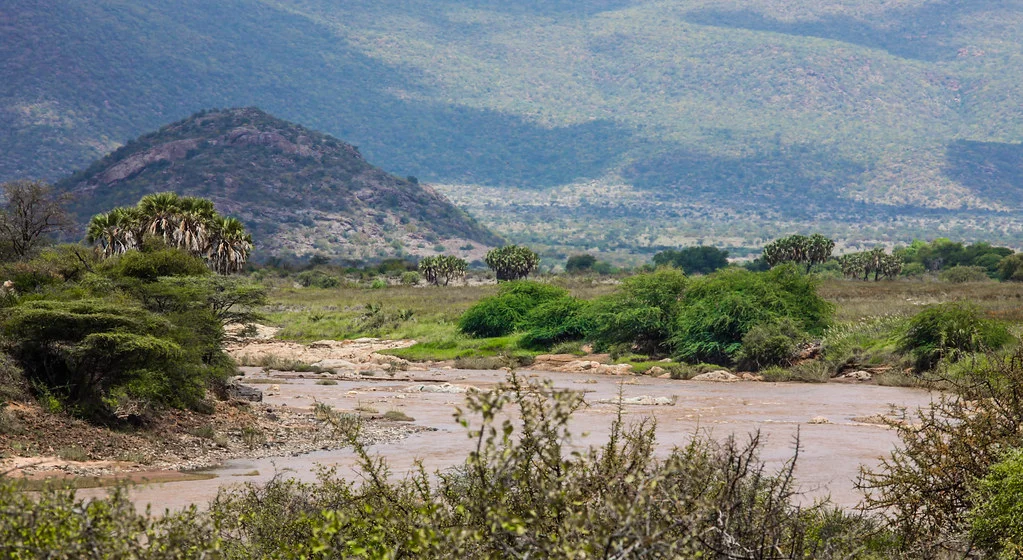 Réserve nationale de Shaba, Kenya