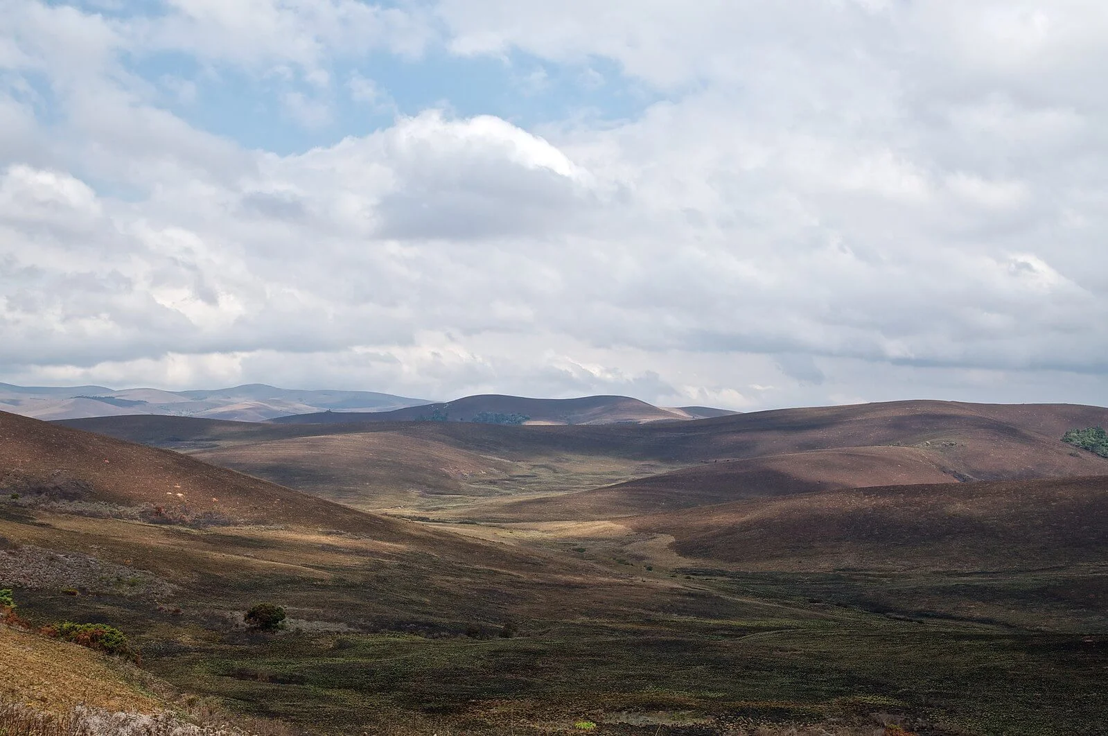 Plateau de Nyika, Malawi