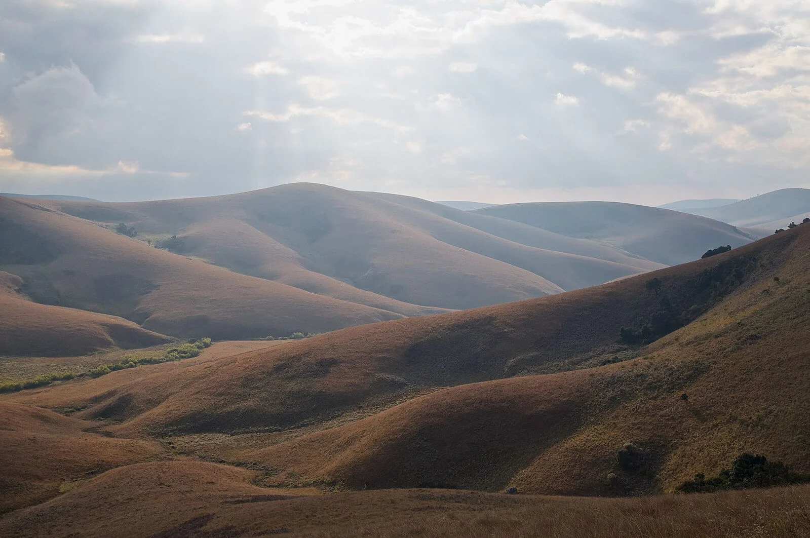 Plateau de Nyika, Malawi
