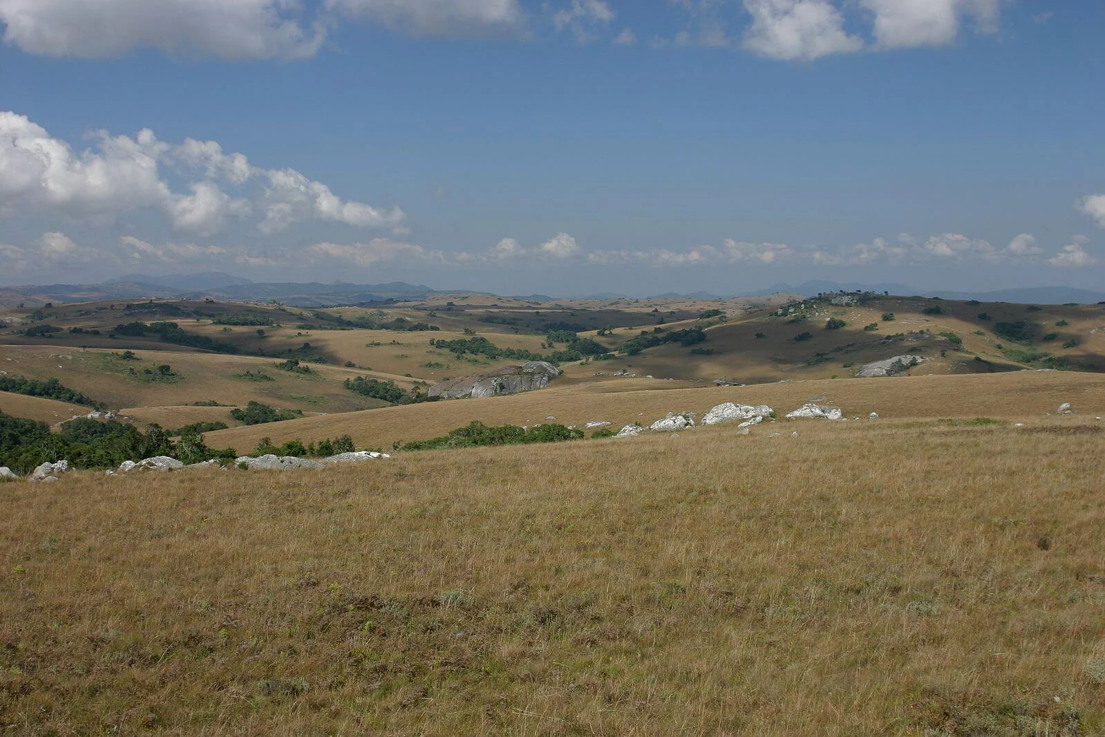 Plateau de Nyika, Malawi