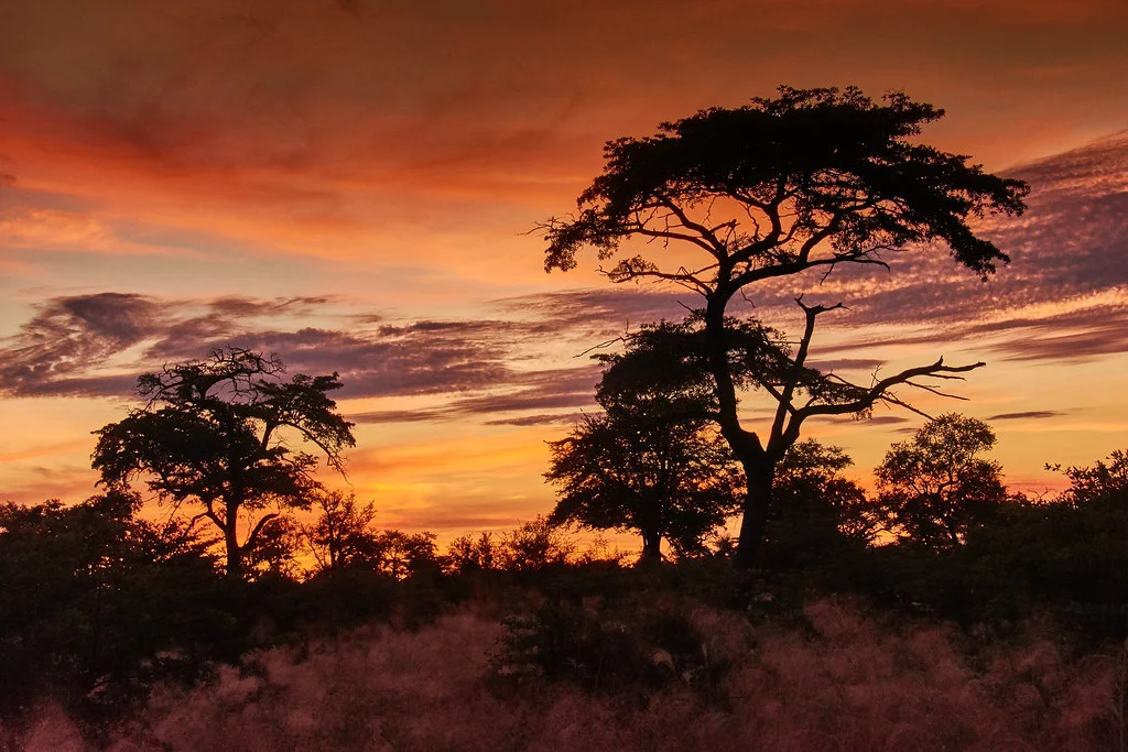 Parc national de Mudumu, Namibie