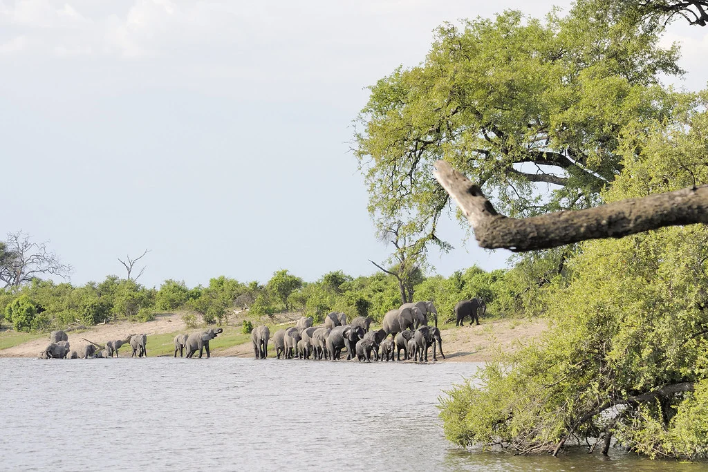 Parc national de Mudumu, Namibie
