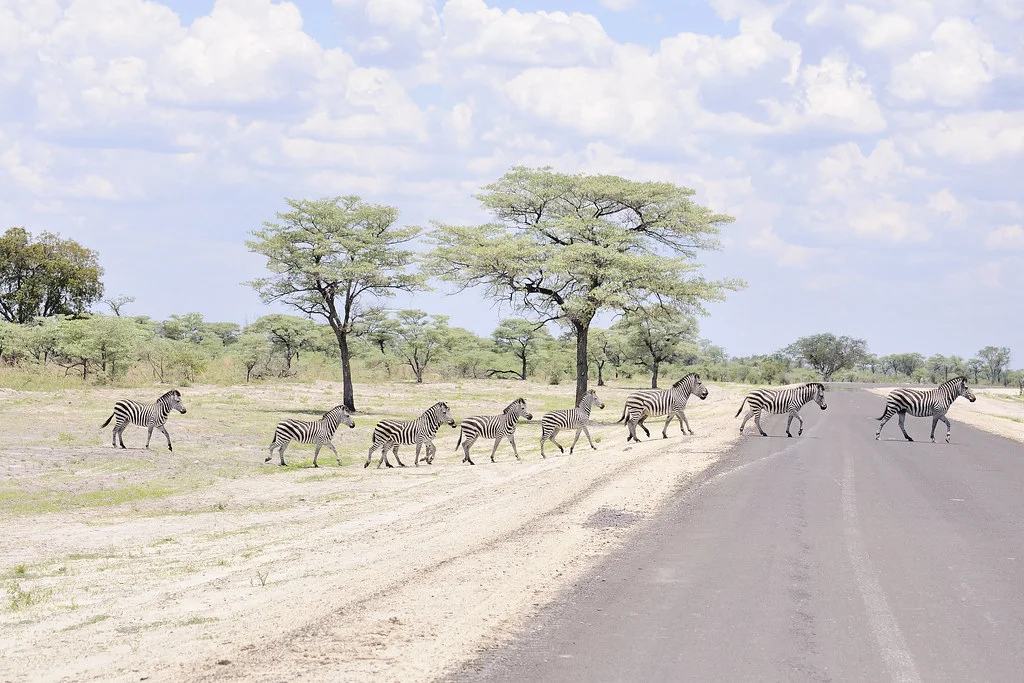 Parc national de Mudumu, Namibie