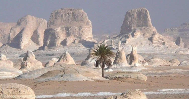 El Haize, Égypte