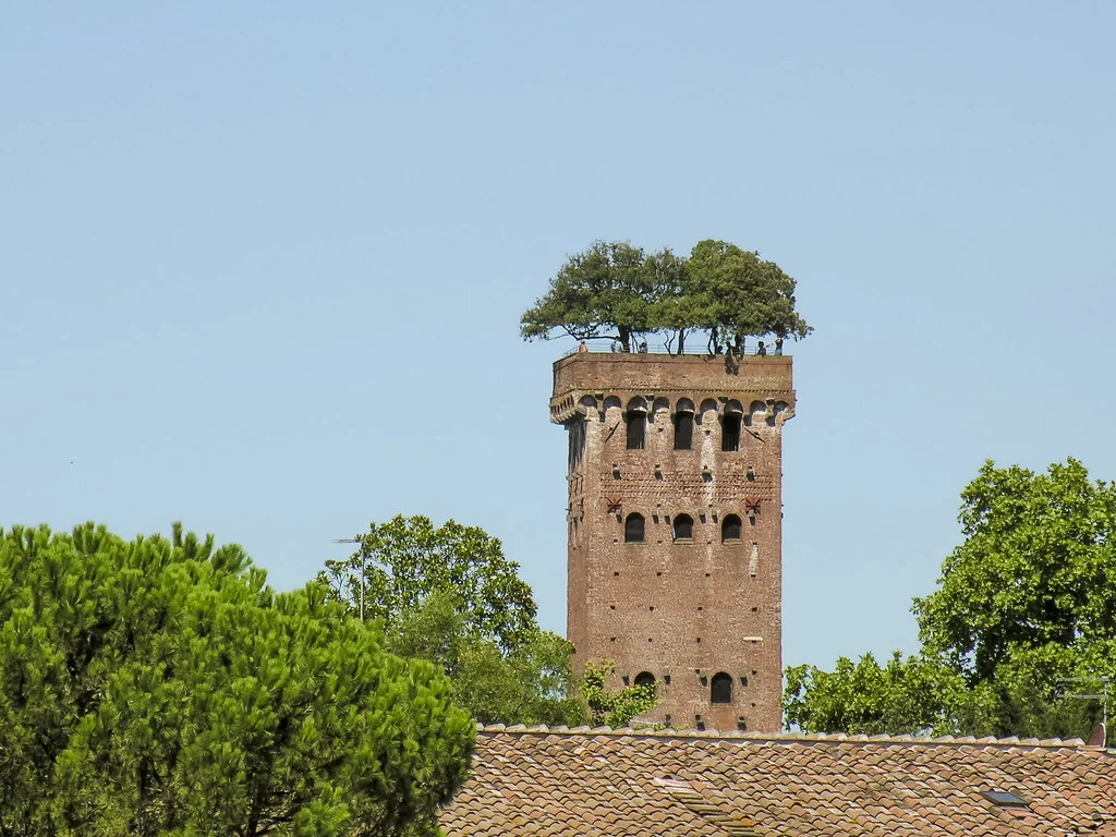 Torre Guinigi, Italie