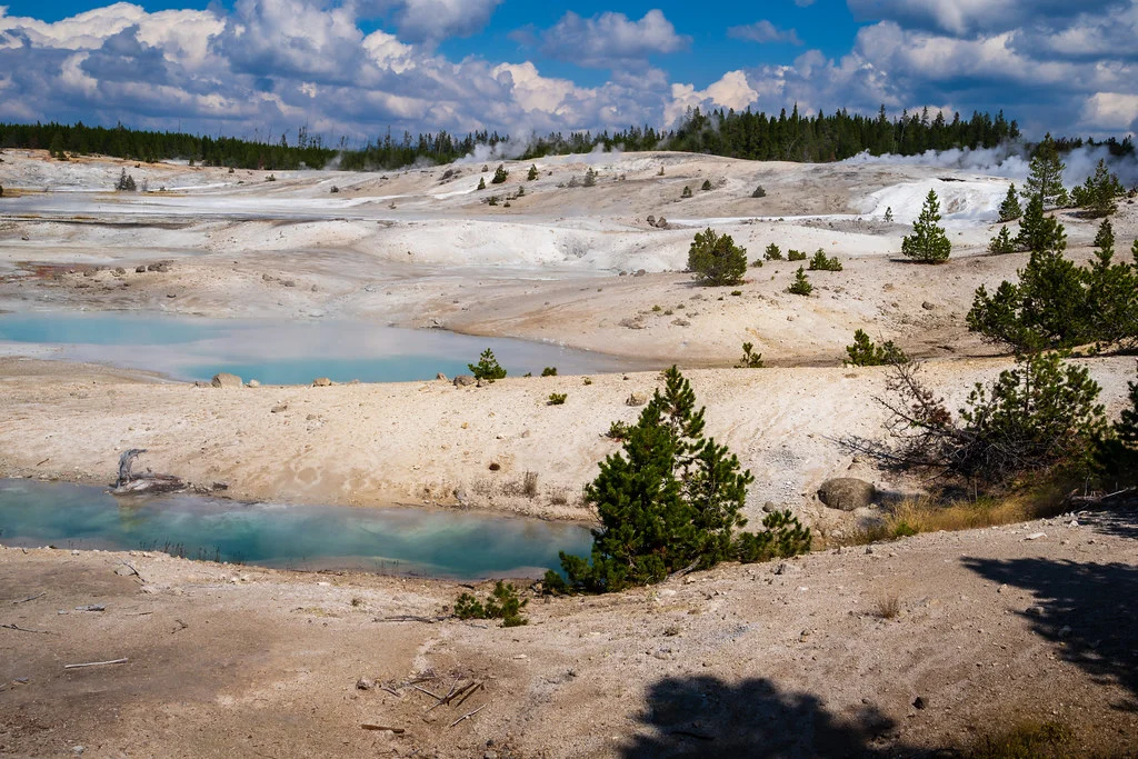 Norris Geyser Basin, États-Unis