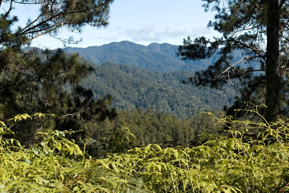 Parc national José Armando Bermúdez, République dominicaine
