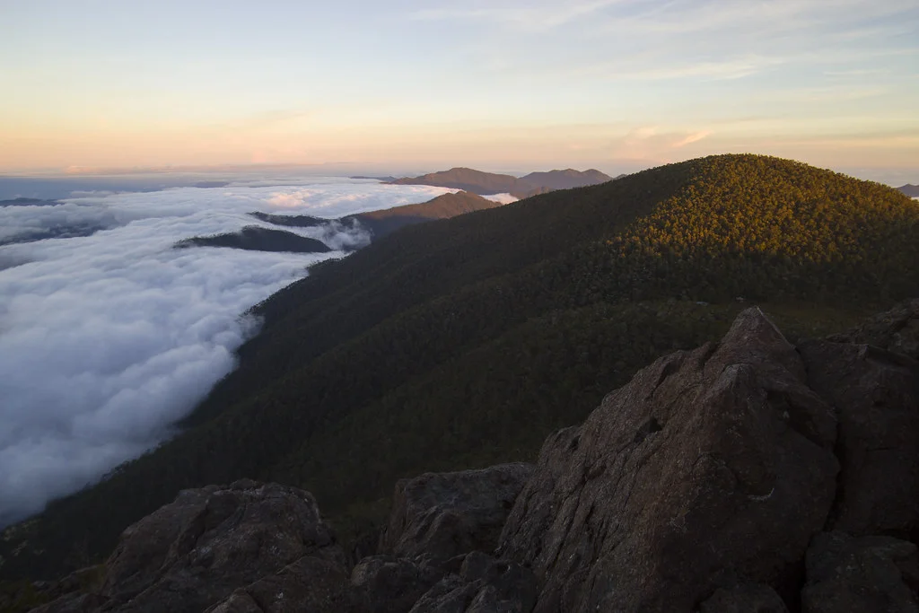 Parc national José Armando Bermúdez, République dominicaine