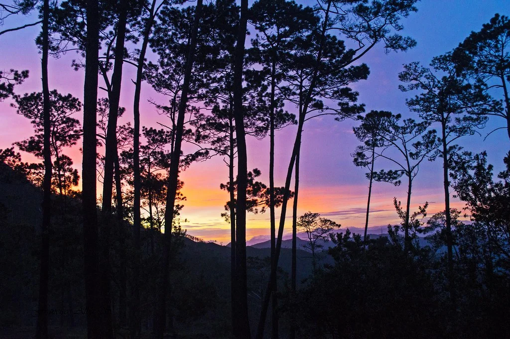 Parc national José Armando Bermúdez, République dominicaine