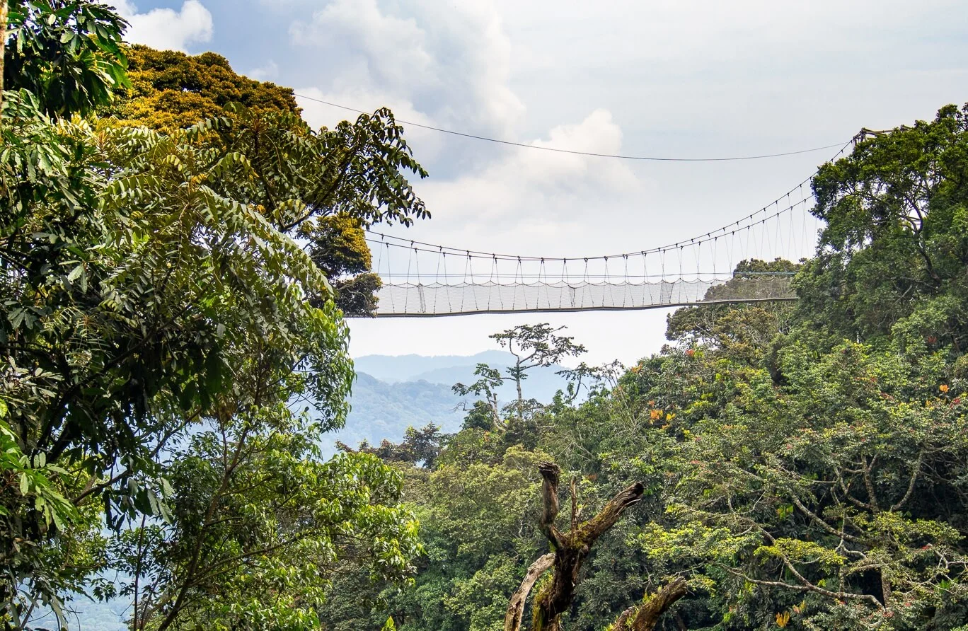Nyungwe Canopy Walk, Rwanda