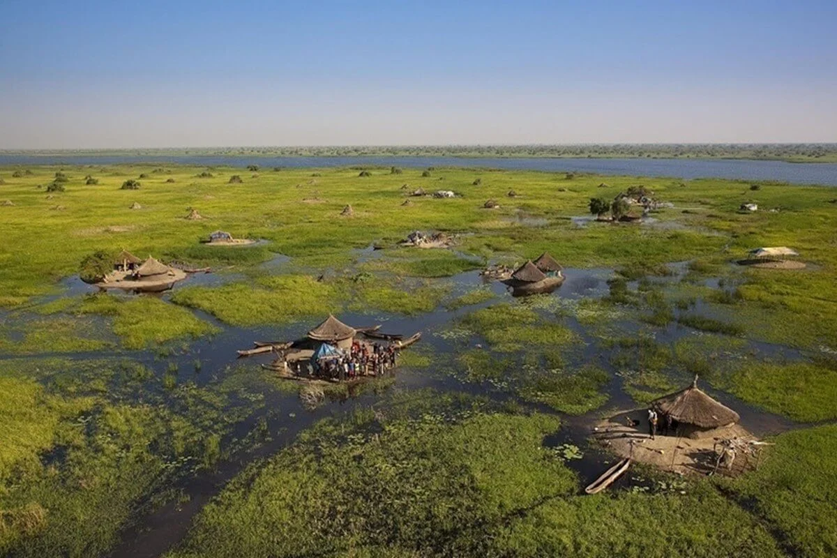 Sudd, Soudan du Sud