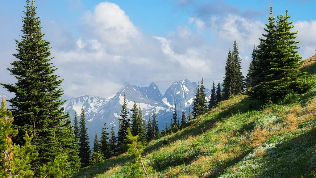 Montagnes Olympiques, États-Unis