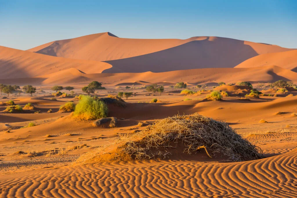 Désert du Namib, Namibie, Namibie, Namibie