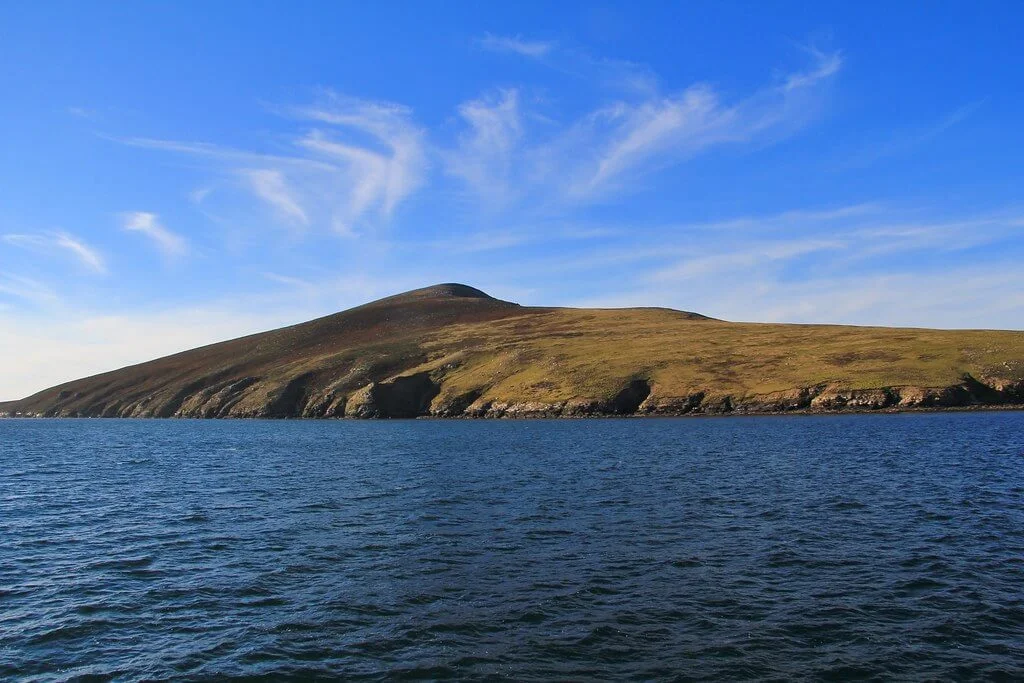Île Saunders, Îles Malouines