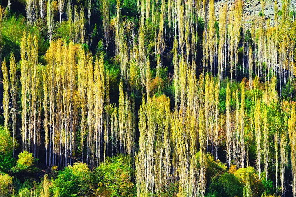 Ghizer Valley, Pakistan