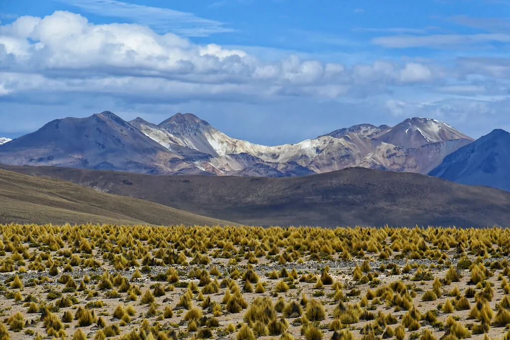 Désert d'Atacama, Chili, Chili, Chili