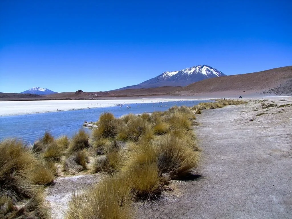Désert d'Atacama, Chili, Chili, Chili