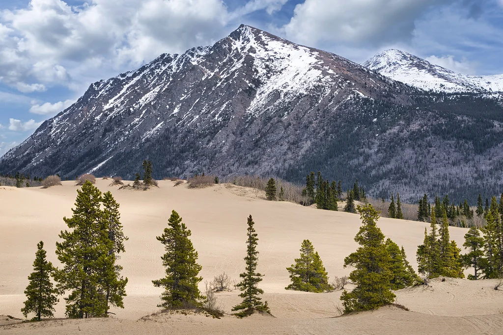 Désert de Carcross, Canada