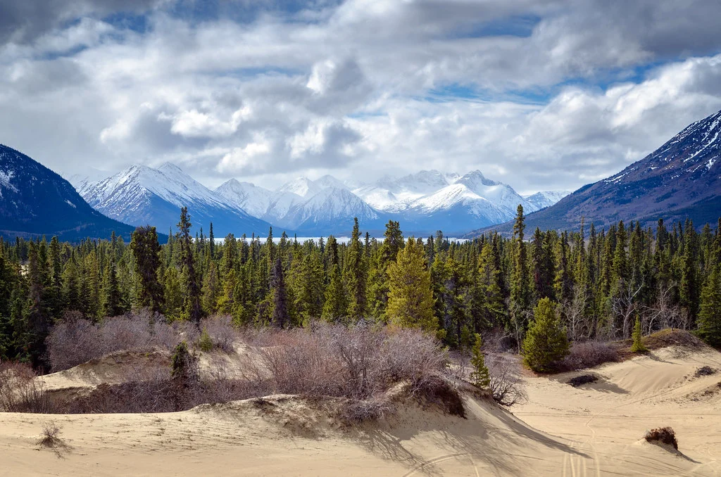 Désert de Carcross, Canada
