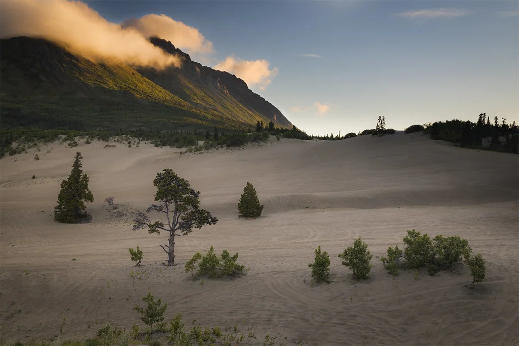 Désert de Carcross, Canada