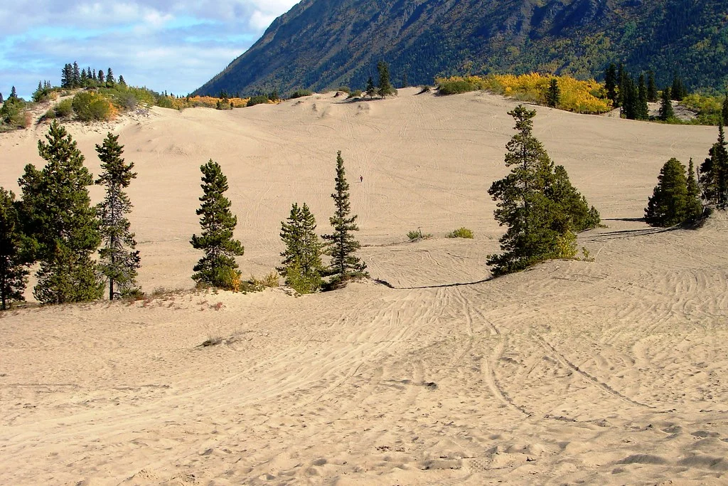 Désert de Carcross, Canada